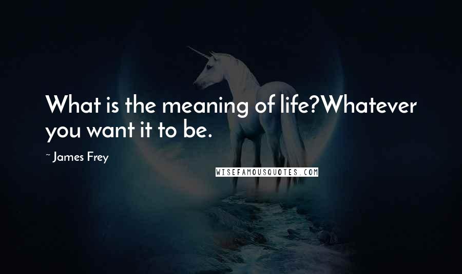 James Frey Quotes: What is the meaning of life?Whatever you want it to be.