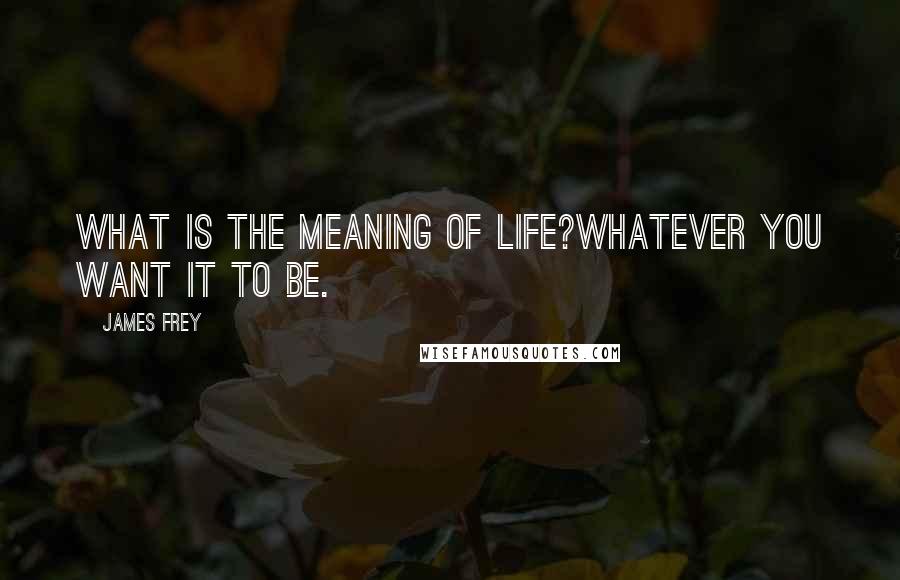 James Frey Quotes: What is the meaning of life?Whatever you want it to be.