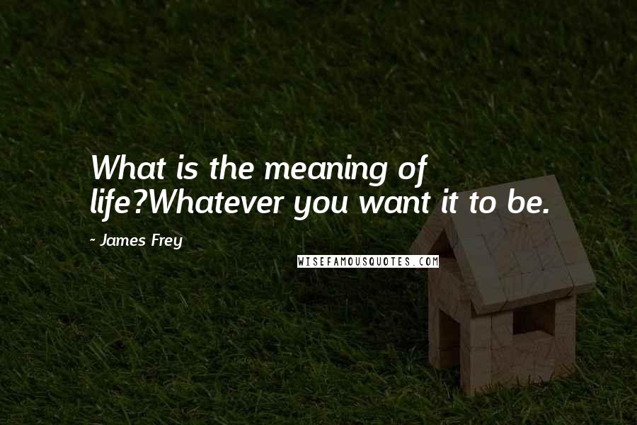 James Frey Quotes: What is the meaning of life?Whatever you want it to be.