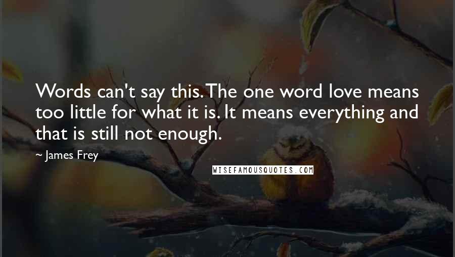 James Frey Quotes: Words can't say this. The one word love means too little for what it is. It means everything and that is still not enough.