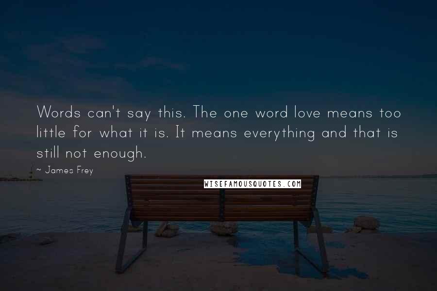 James Frey Quotes: Words can't say this. The one word love means too little for what it is. It means everything and that is still not enough.