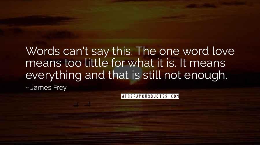 James Frey Quotes: Words can't say this. The one word love means too little for what it is. It means everything and that is still not enough.