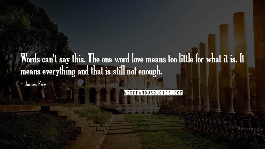 James Frey Quotes: Words can't say this. The one word love means too little for what it is. It means everything and that is still not enough.