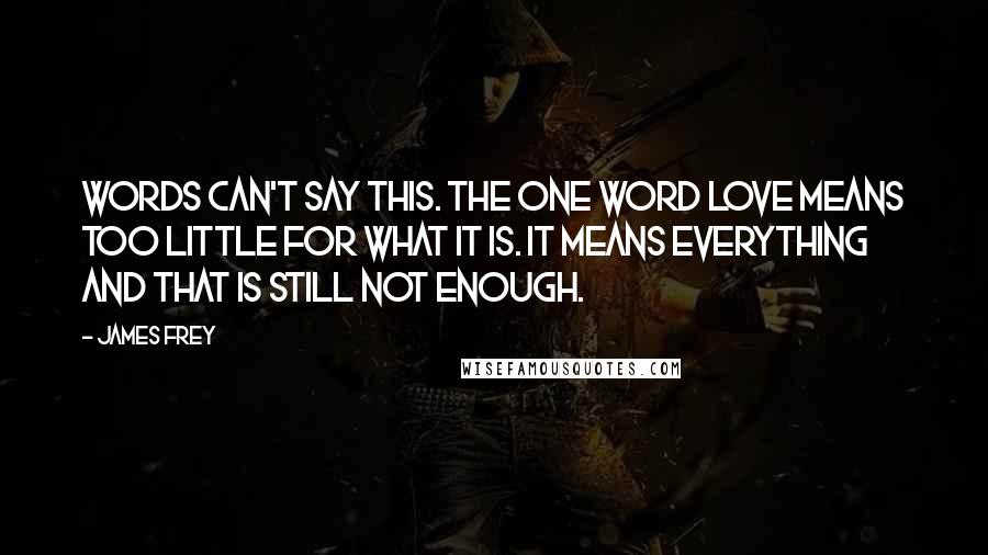 James Frey Quotes: Words can't say this. The one word love means too little for what it is. It means everything and that is still not enough.