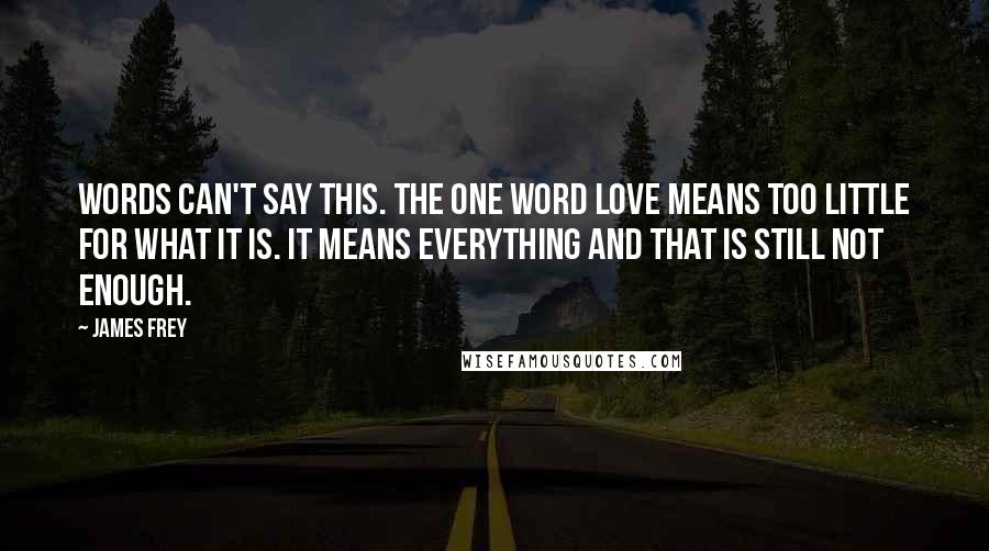 James Frey Quotes: Words can't say this. The one word love means too little for what it is. It means everything and that is still not enough.