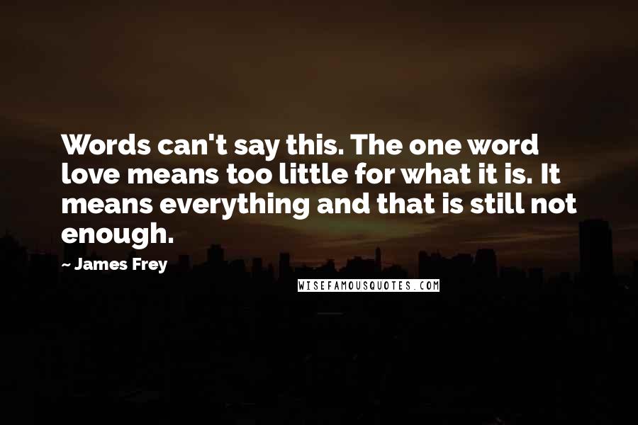 James Frey Quotes: Words can't say this. The one word love means too little for what it is. It means everything and that is still not enough.