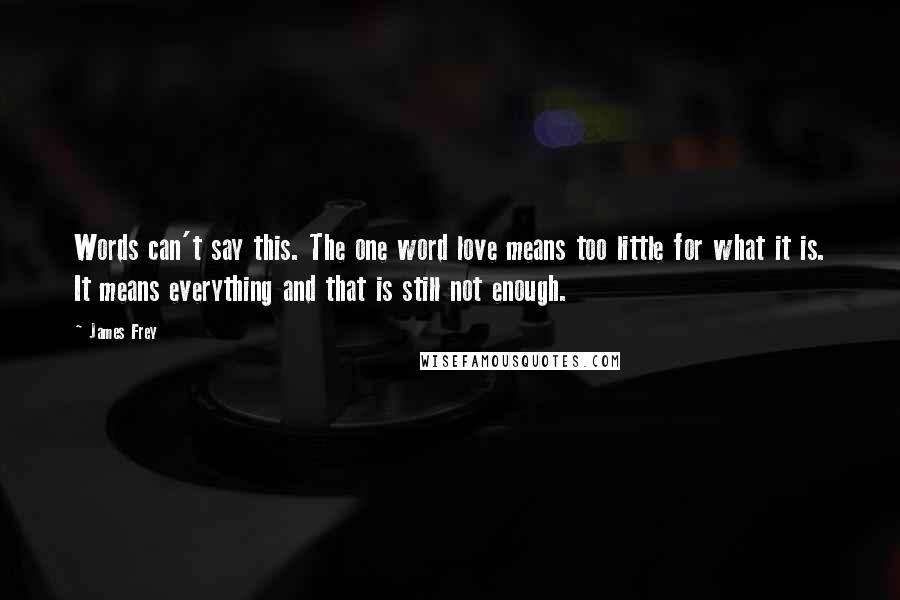 James Frey Quotes: Words can't say this. The one word love means too little for what it is. It means everything and that is still not enough.