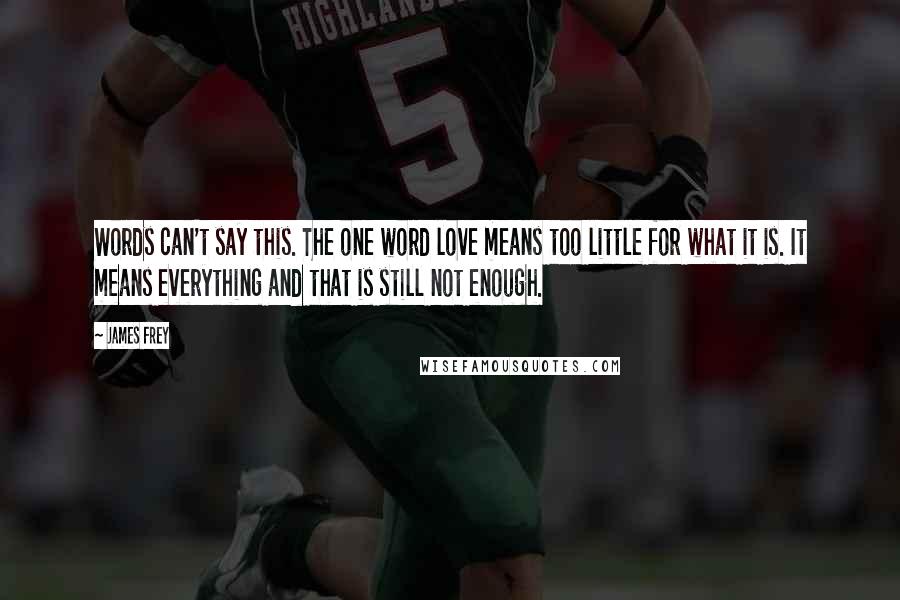 James Frey Quotes: Words can't say this. The one word love means too little for what it is. It means everything and that is still not enough.