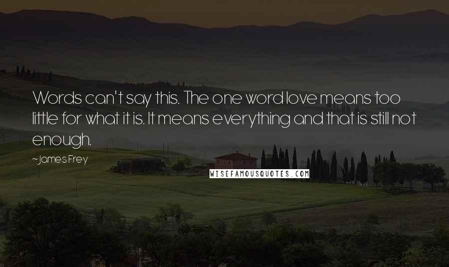 James Frey Quotes: Words can't say this. The one word love means too little for what it is. It means everything and that is still not enough.