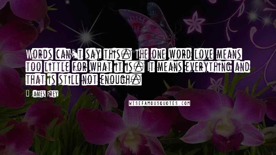 James Frey Quotes: Words can't say this. The one word love means too little for what it is. It means everything and that is still not enough.