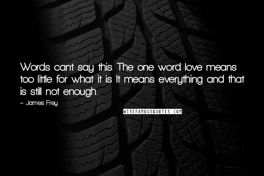 James Frey Quotes: Words can't say this. The one word love means too little for what it is. It means everything and that is still not enough.