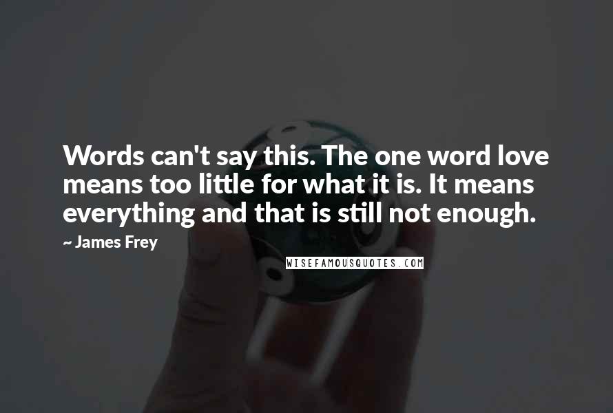 James Frey Quotes: Words can't say this. The one word love means too little for what it is. It means everything and that is still not enough.