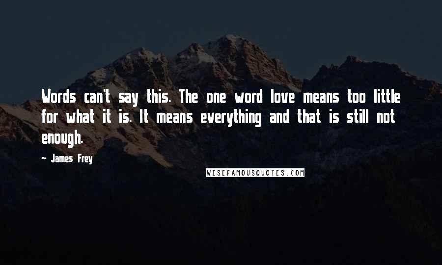 James Frey Quotes: Words can't say this. The one word love means too little for what it is. It means everything and that is still not enough.