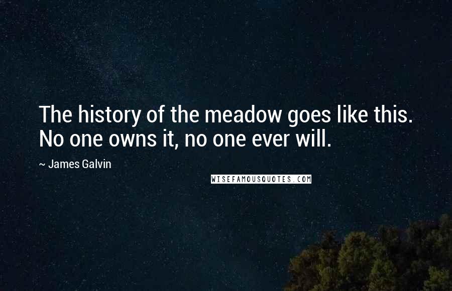 James Galvin Quotes: The history of the meadow goes like this. No one owns it, no one ever will.