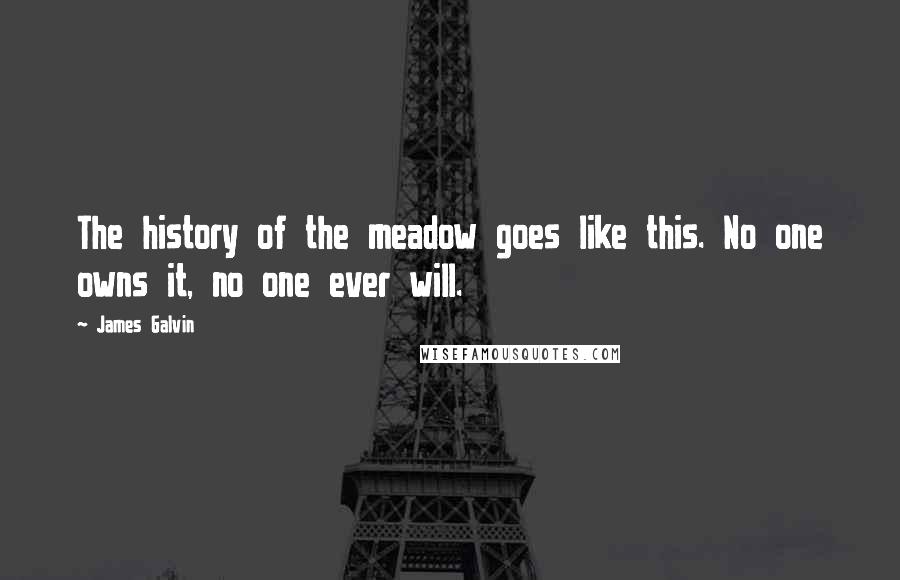 James Galvin Quotes: The history of the meadow goes like this. No one owns it, no one ever will.