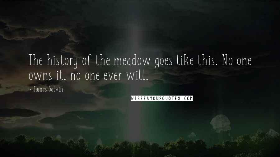 James Galvin Quotes: The history of the meadow goes like this. No one owns it, no one ever will.