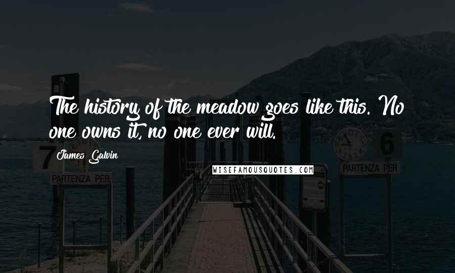 James Galvin Quotes: The history of the meadow goes like this. No one owns it, no one ever will.