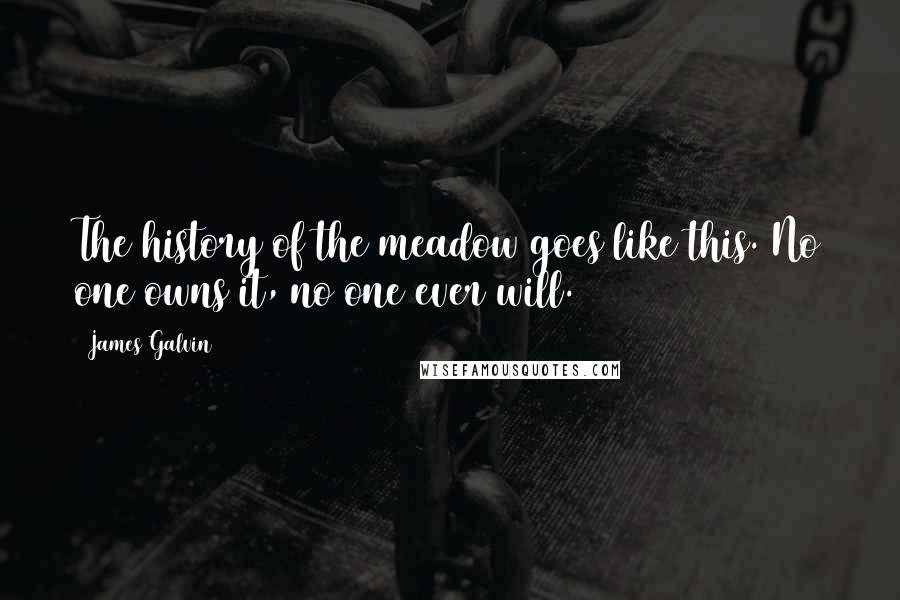 James Galvin Quotes: The history of the meadow goes like this. No one owns it, no one ever will.