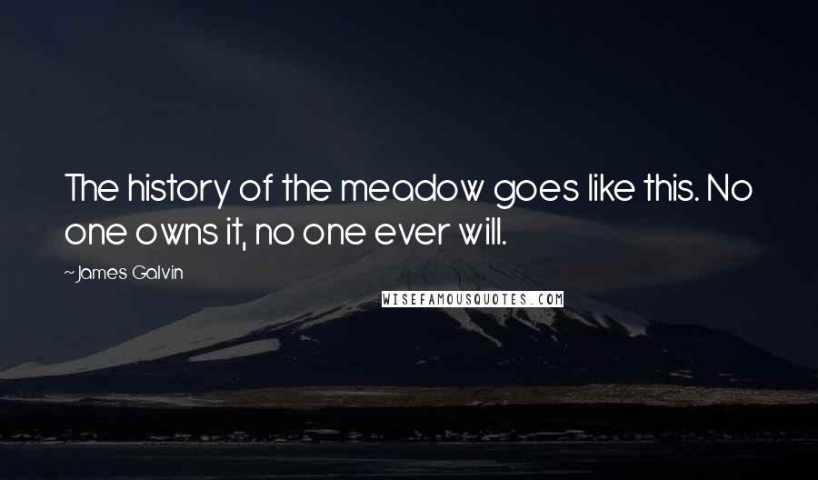 James Galvin Quotes: The history of the meadow goes like this. No one owns it, no one ever will.