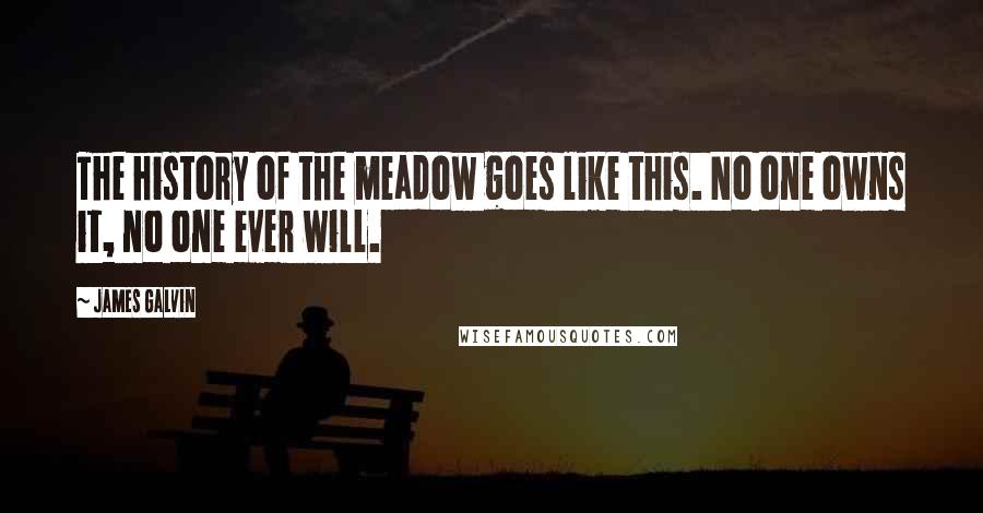 James Galvin Quotes: The history of the meadow goes like this. No one owns it, no one ever will.