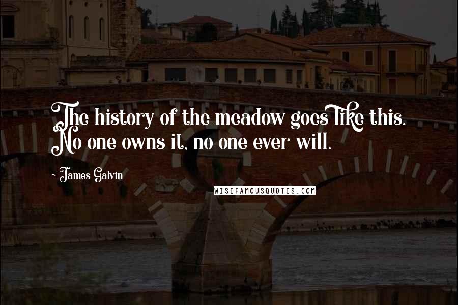 James Galvin Quotes: The history of the meadow goes like this. No one owns it, no one ever will.