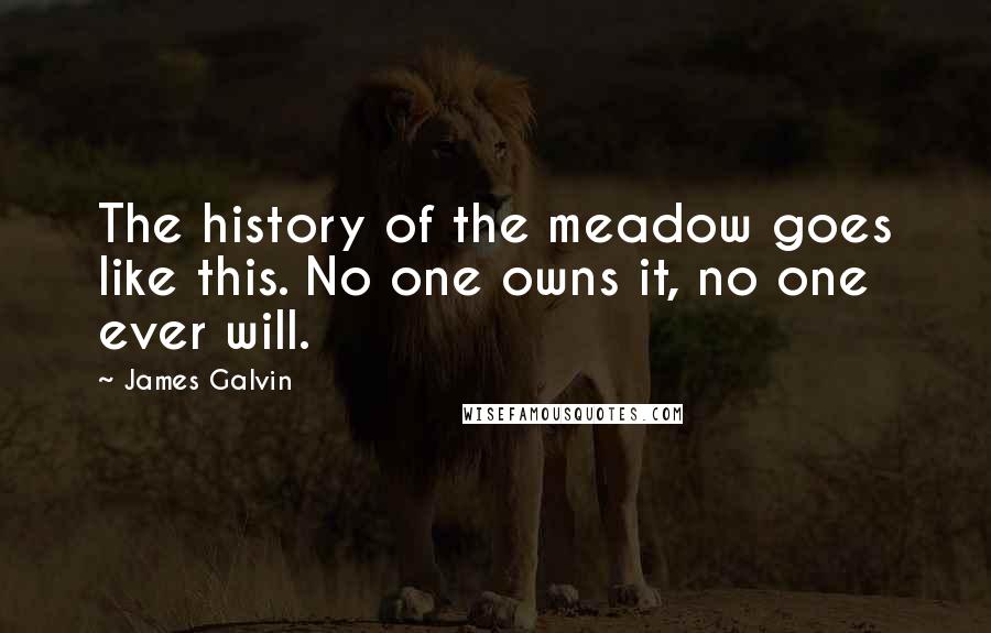 James Galvin Quotes: The history of the meadow goes like this. No one owns it, no one ever will.