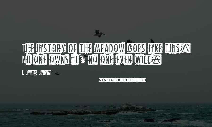 James Galvin Quotes: The history of the meadow goes like this. No one owns it, no one ever will.