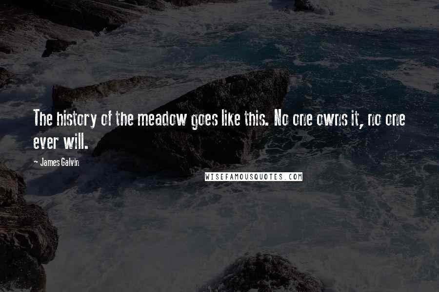 James Galvin Quotes: The history of the meadow goes like this. No one owns it, no one ever will.