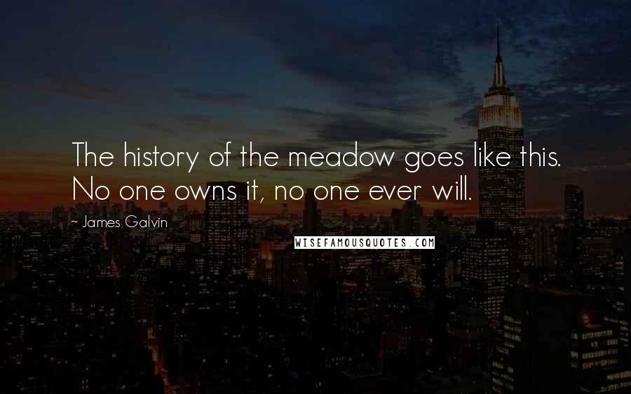 James Galvin Quotes: The history of the meadow goes like this. No one owns it, no one ever will.