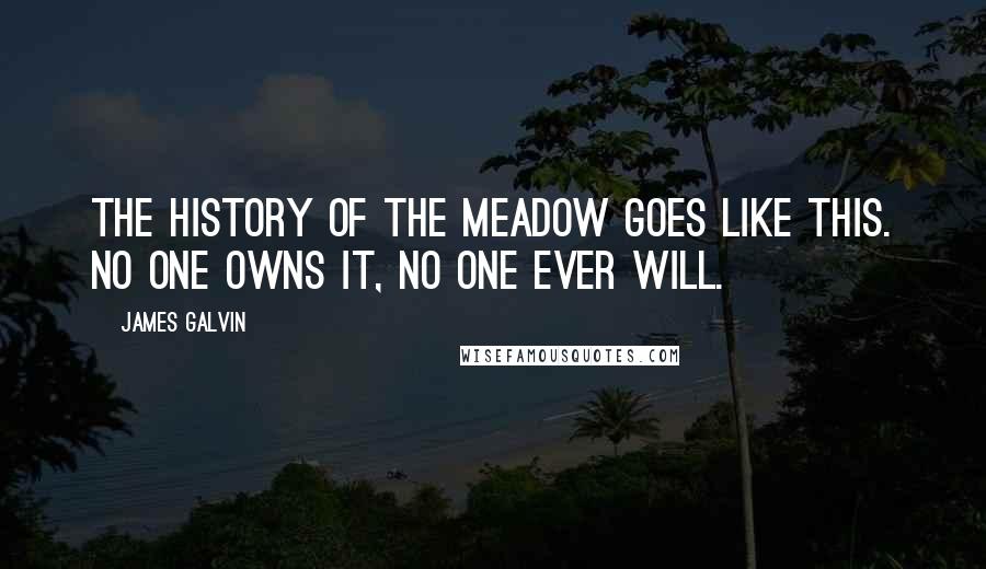 James Galvin Quotes: The history of the meadow goes like this. No one owns it, no one ever will.