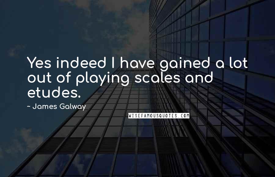 James Galway Quotes: Yes indeed I have gained a lot out of playing scales and etudes.