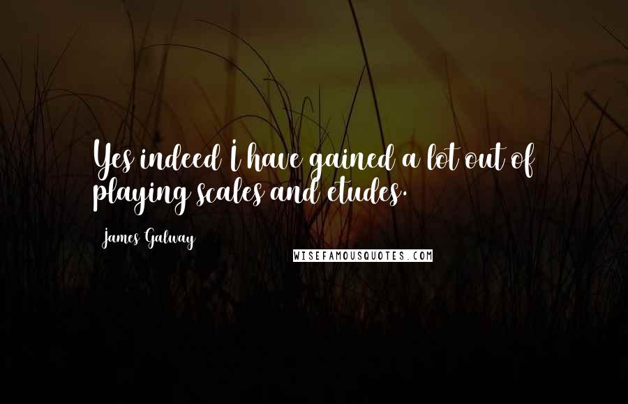 James Galway Quotes: Yes indeed I have gained a lot out of playing scales and etudes.