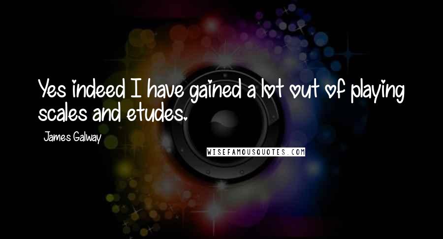 James Galway Quotes: Yes indeed I have gained a lot out of playing scales and etudes.