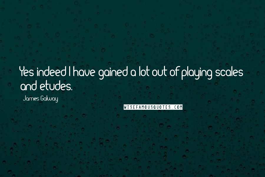 James Galway Quotes: Yes indeed I have gained a lot out of playing scales and etudes.