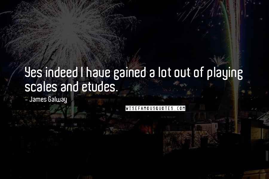 James Galway Quotes: Yes indeed I have gained a lot out of playing scales and etudes.