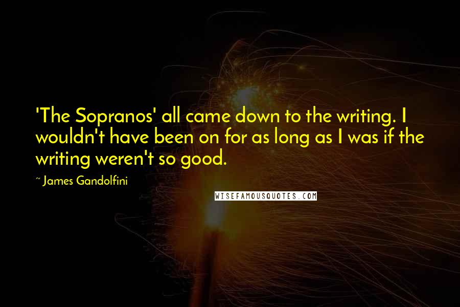 James Gandolfini Quotes: 'The Sopranos' all came down to the writing. I wouldn't have been on for as long as I was if the writing weren't so good.