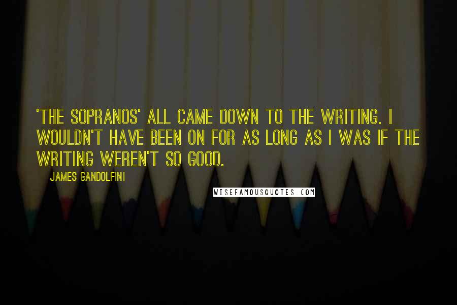 James Gandolfini Quotes: 'The Sopranos' all came down to the writing. I wouldn't have been on for as long as I was if the writing weren't so good.