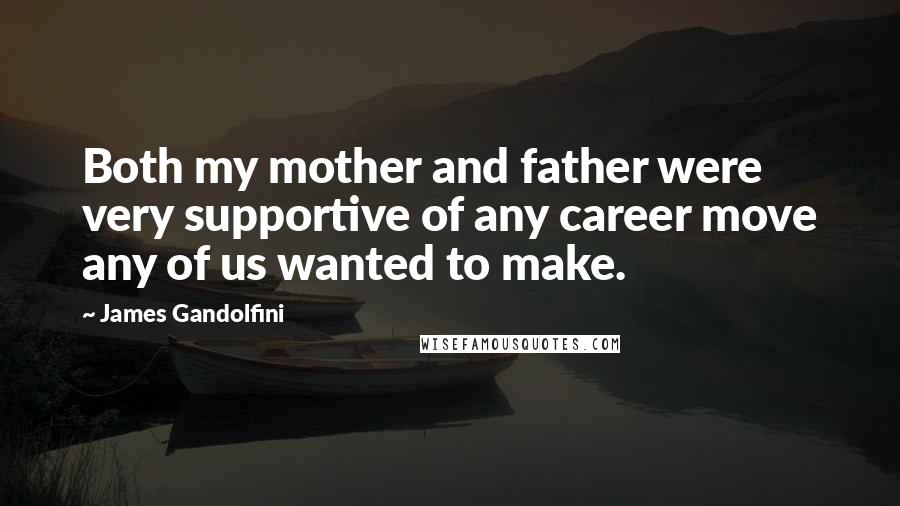 James Gandolfini Quotes: Both my mother and father were very supportive of any career move any of us wanted to make.