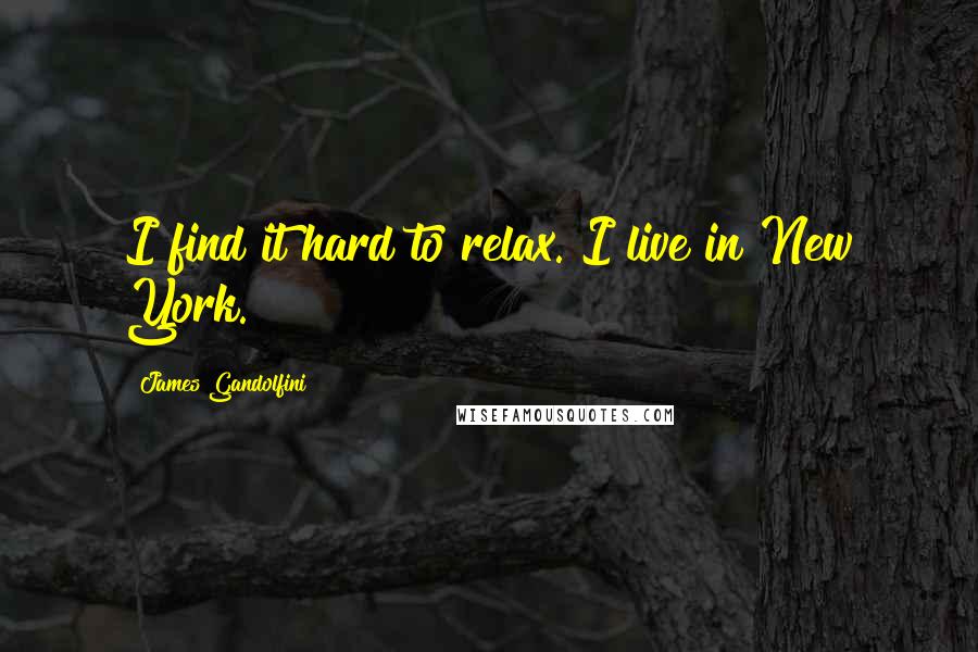 James Gandolfini Quotes: I find it hard to relax. I live in New York.