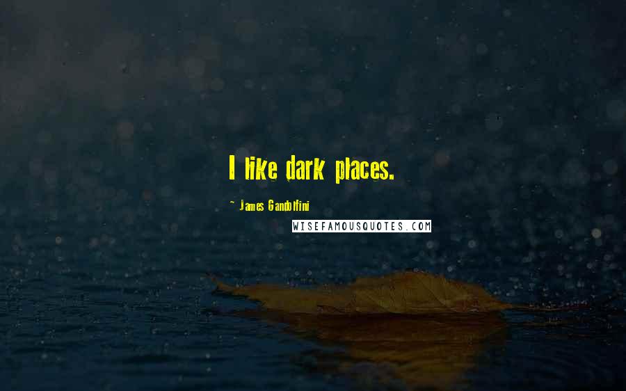 James Gandolfini Quotes: I like dark places.