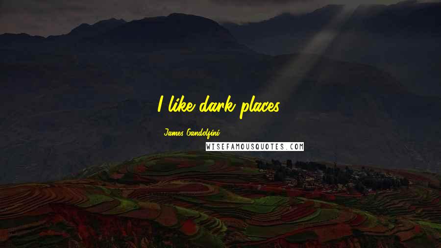 James Gandolfini Quotes: I like dark places.