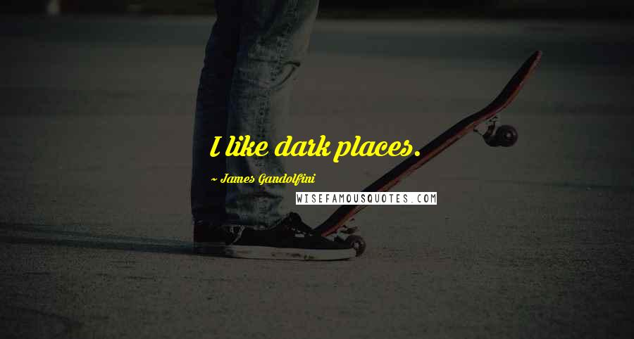 James Gandolfini Quotes: I like dark places.