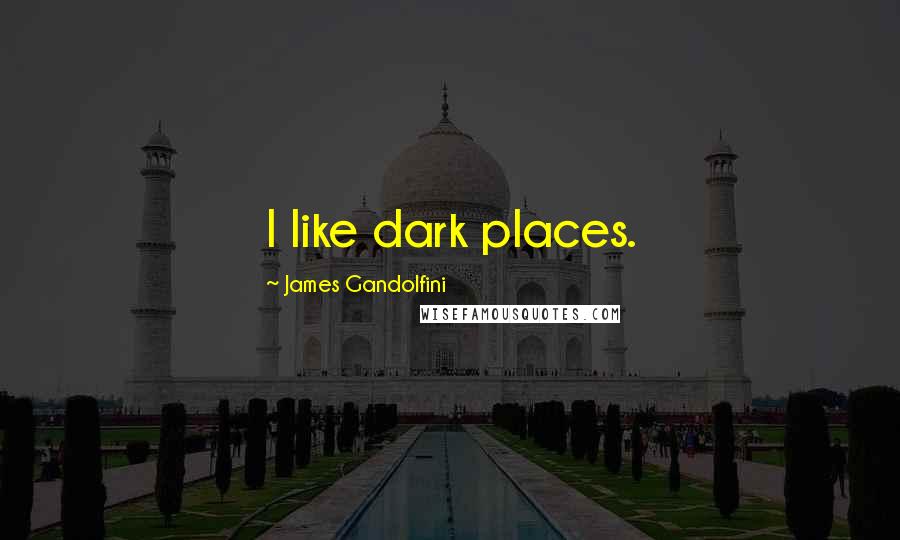 James Gandolfini Quotes: I like dark places.