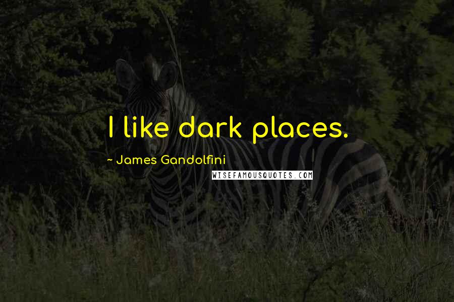 James Gandolfini Quotes: I like dark places.