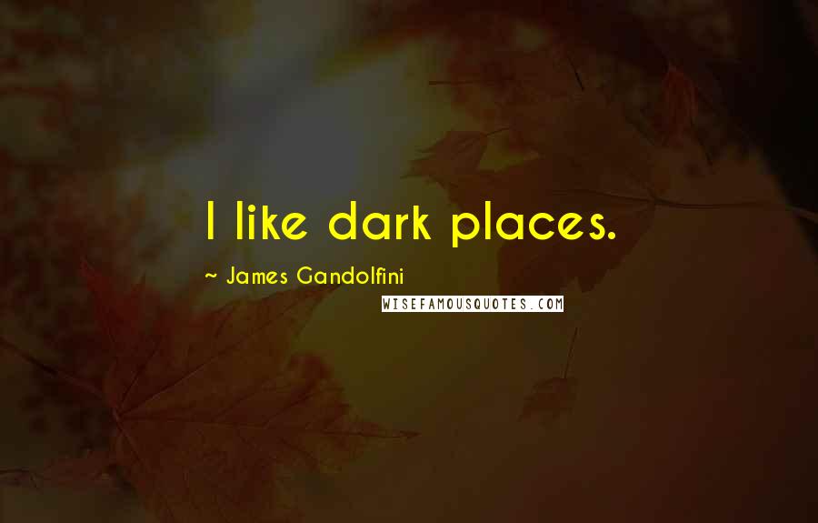 James Gandolfini Quotes: I like dark places.