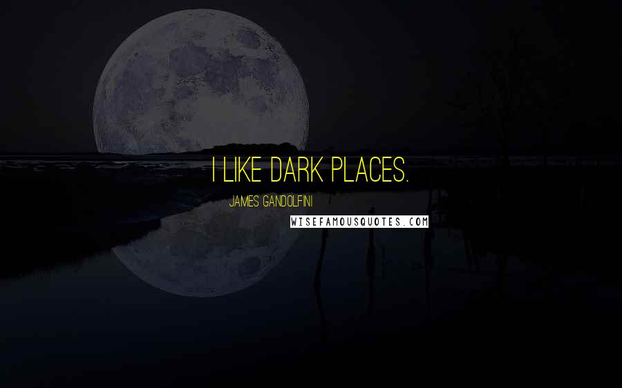 James Gandolfini Quotes: I like dark places.