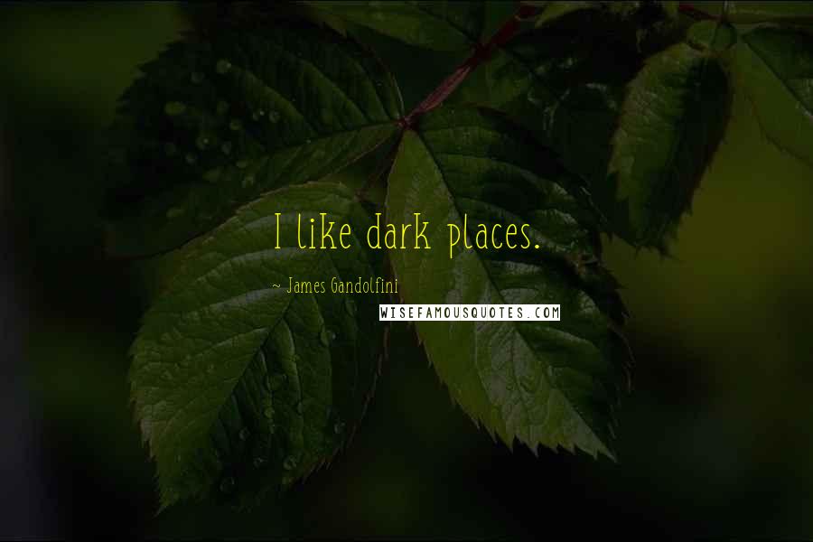 James Gandolfini Quotes: I like dark places.