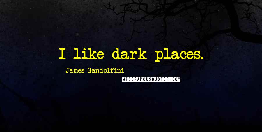 James Gandolfini Quotes: I like dark places.