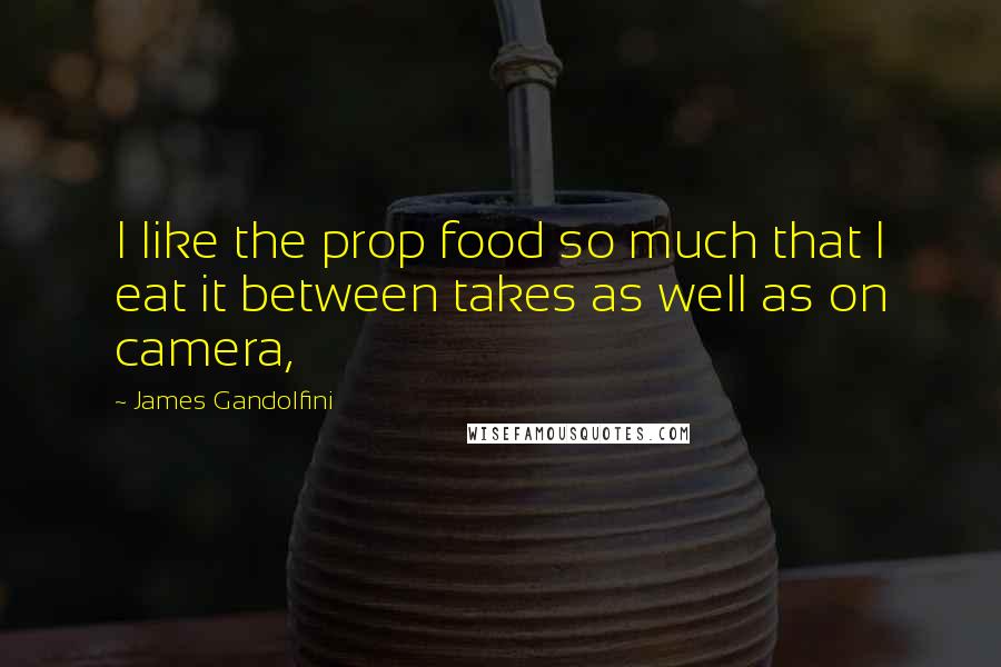 James Gandolfini Quotes: I like the prop food so much that I eat it between takes as well as on camera,