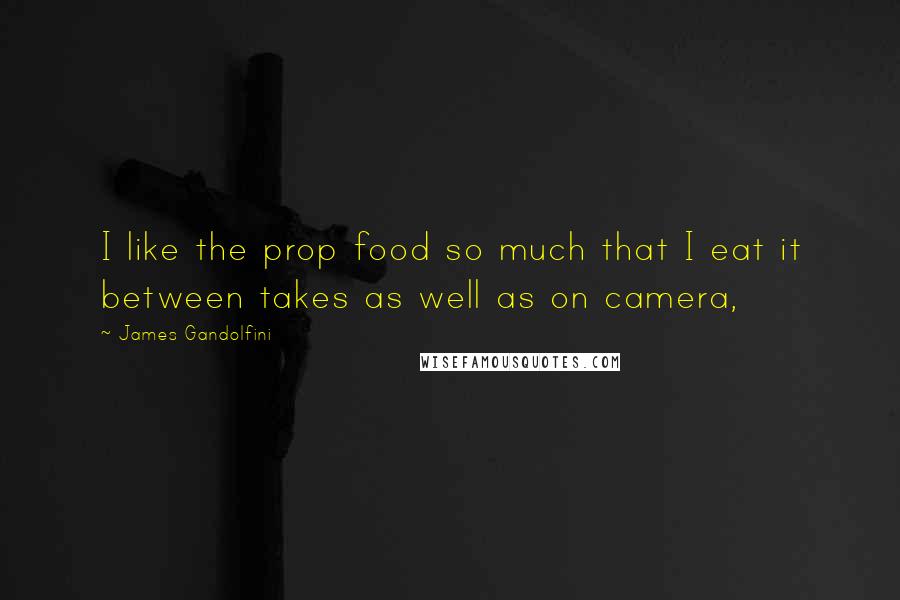 James Gandolfini Quotes: I like the prop food so much that I eat it between takes as well as on camera,